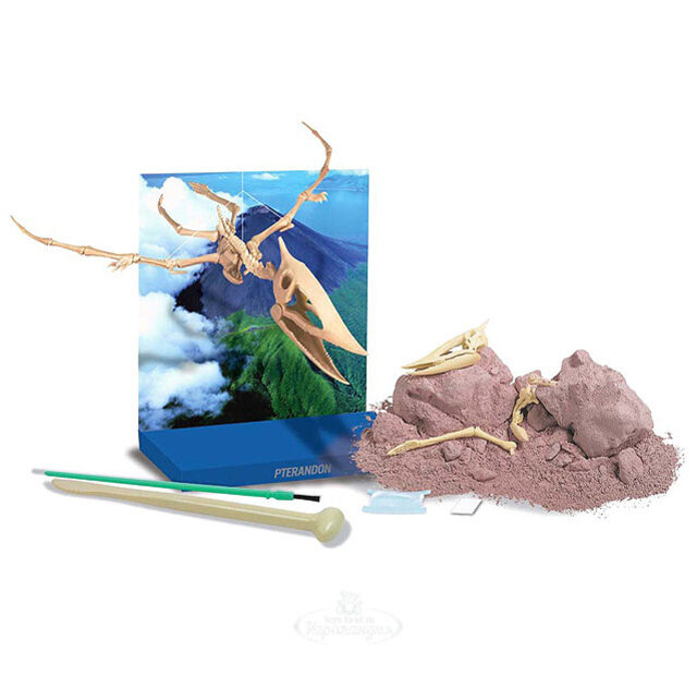 Набор для раскопок Скелет Птерозавра 4M