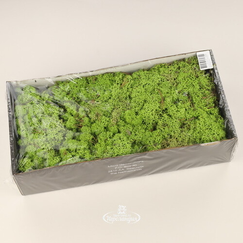 Декоративный мох Mica зеленый, 500 г Edelman