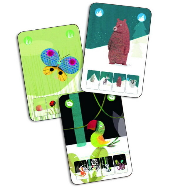 Карточная игра Маленькая природа DJECO (Джеко)