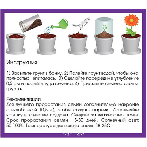 Набор для выращивания Мята Rostokvisa