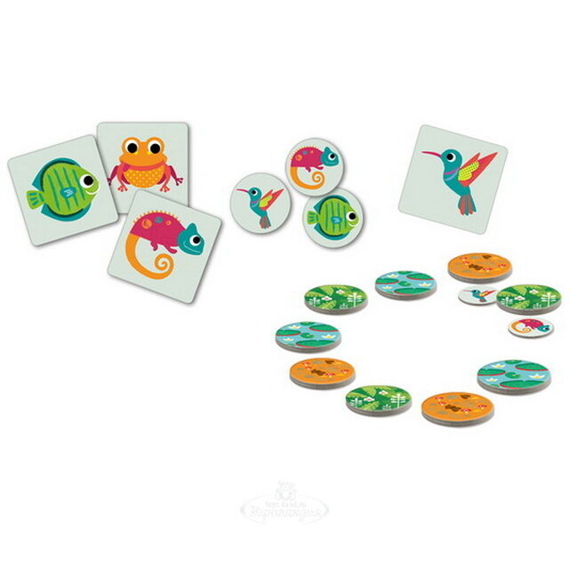 Настольная игра Мемо Тропики DJECO (Джеко)