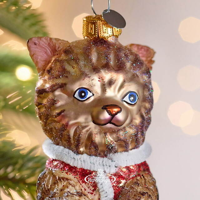 Елочная игрушка Кот Гаспар в жилетке 12 см в подарочной коробке, стекло Winter Deco