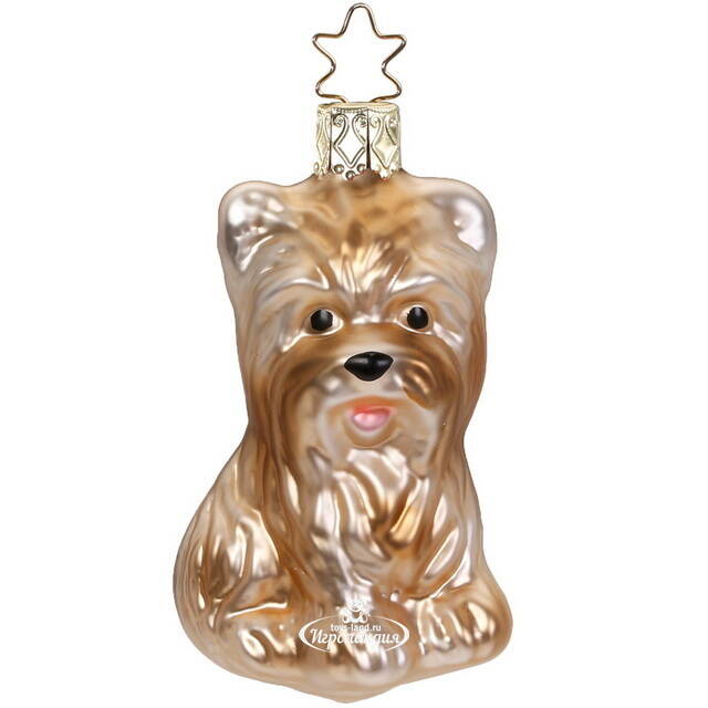 Стеклянная елочная игрушка Собака Йорк 8 см Inge Glas