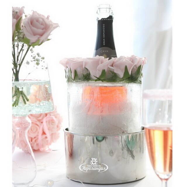 Форма для льда - охладитель для вина Gomez 18 см Ideas4Seasons