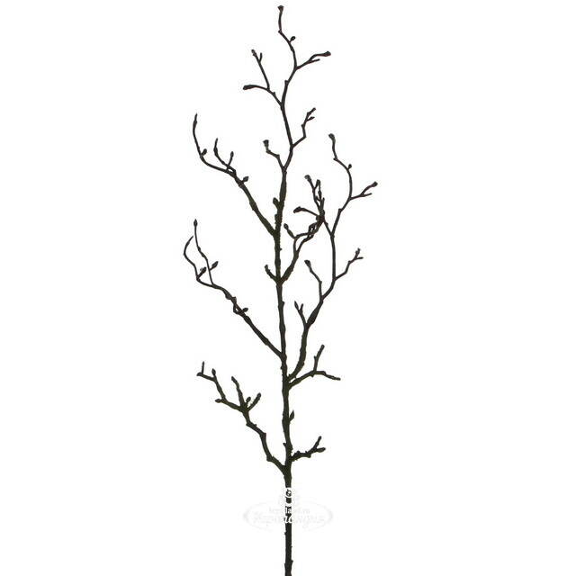 Декоративная ветка Barton 78 см Edelman