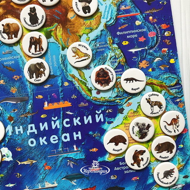 Магнитный геопазл Карта мира + игровой набор Животные мира 2в1 Геомагнит