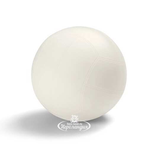 Мяч для волейбола Intex 21 см INTEX
