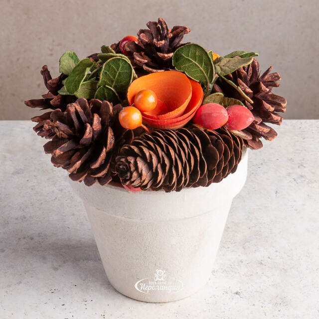 Настольная композиция Облепиховое Парфе 13 см Hogewoning