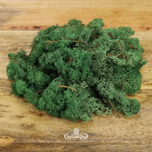Декоративный мох Mica зеленый с блестками, 35 г Edelman