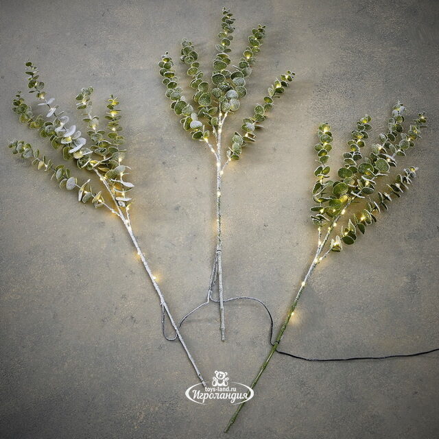 Набор светящихся веток Эвкалипт Callisia 90 см, 50 теплых белых LED ламп, 3 шт, IP44 Edelman
