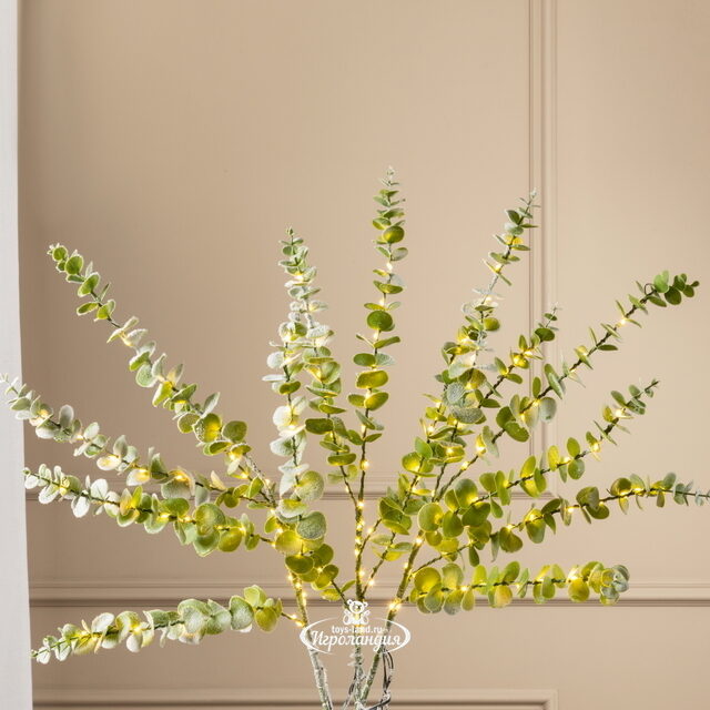 Набор светящихся веток Эвкалипт Callisia 90 см, 50 теплых белых LED ламп, 3 шт, IP44 Edelman