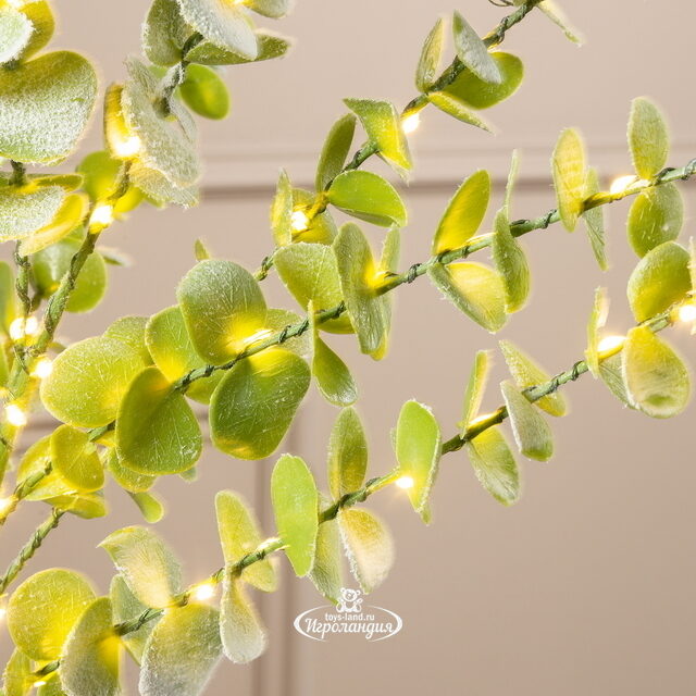 Набор светящихся веток Эвкалипт Callisia 90 см, 50 теплых белых LED ламп, 3 шт, IP44 Edelman