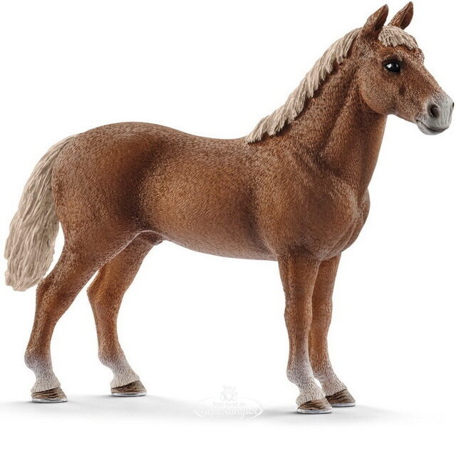 Фигурка Жеребец Морган 14 см Schleich (Шляйх)