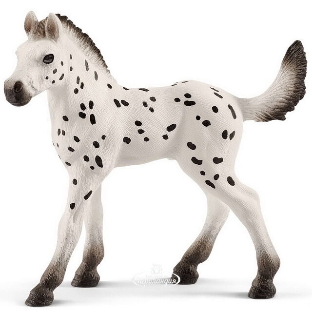 Фигурка Жеребёнок Кнабструппер 9 см Schleich (Шляйх)