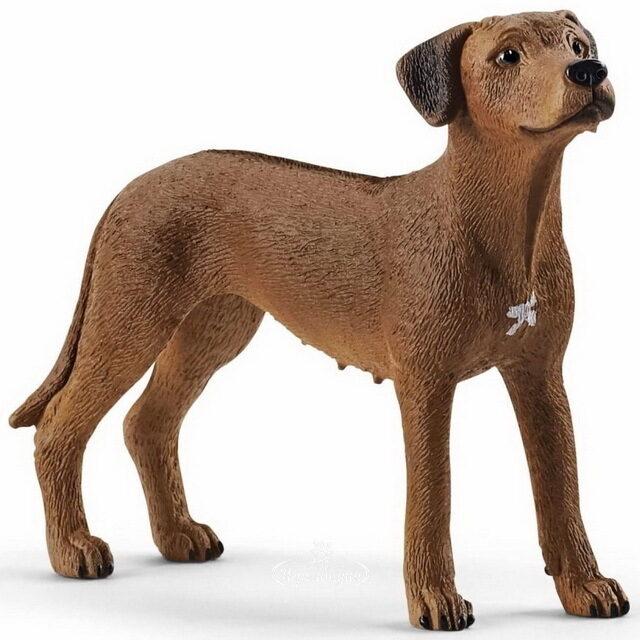 Фигурка Собака Родезийский риджбек 7 см Schleich