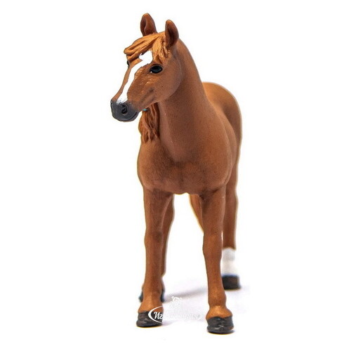 Фигурка Лошадь - Немецкий верховой пони, кобыла 12 см Schleich