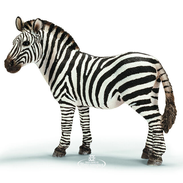 Фигурка Зебра самка 10 см Schleich (Шляйх)