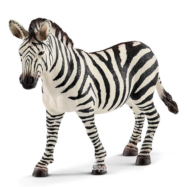 Фигурка Зебра самка 10 см Schleich (Шляйх)