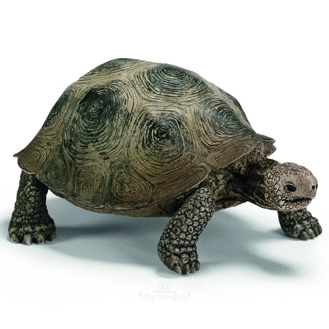 Фигурка Гигантская черепаха 8.5 см Schleich (Шляйх)