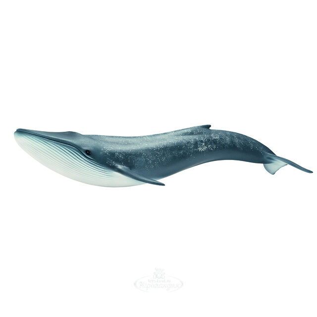 Фигурка Синий кит 11 см Schleich