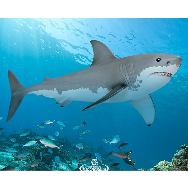 Фигурка Белая акула 16 см Schleich