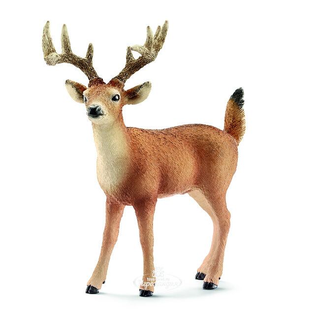 Фигурка Олень 10 см Schleich (Шляйх)