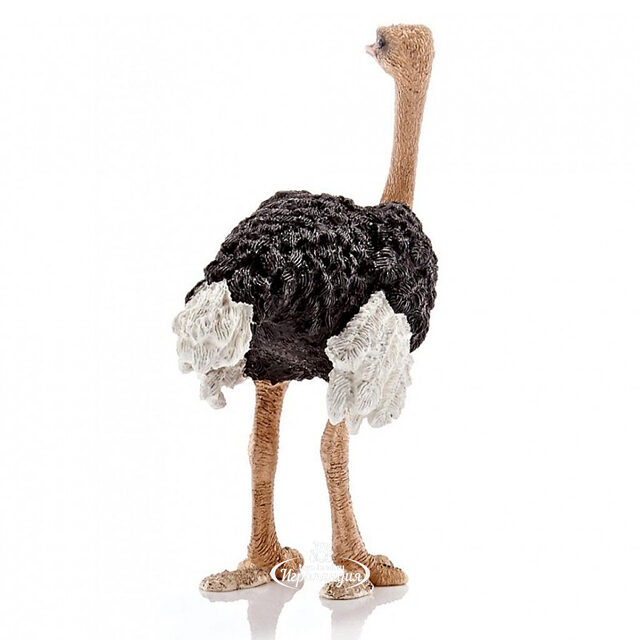 Фигурка Страус 8 см Schleich