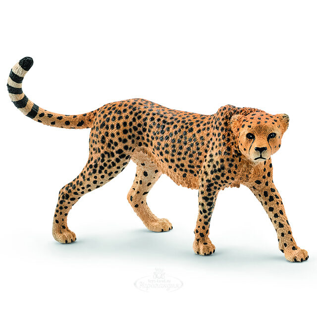 Фигурка Гепард самка 10 см Schleich (Шляйх)