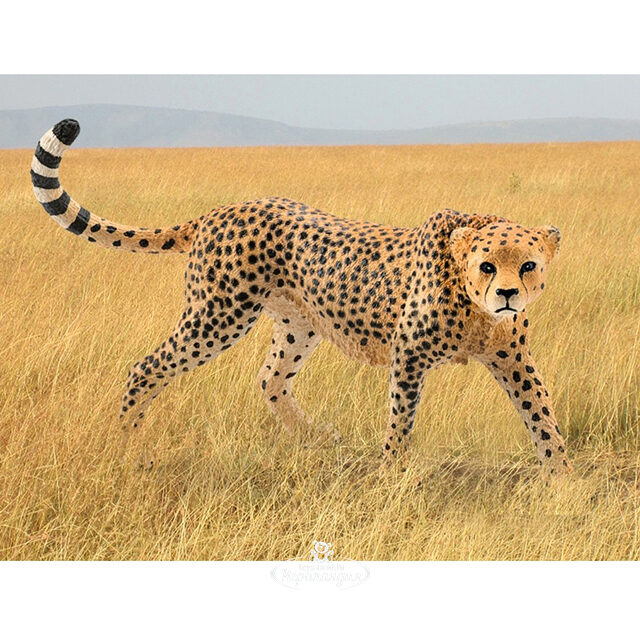 Фигурка Гепард самка 10 см Schleich (Шляйх)