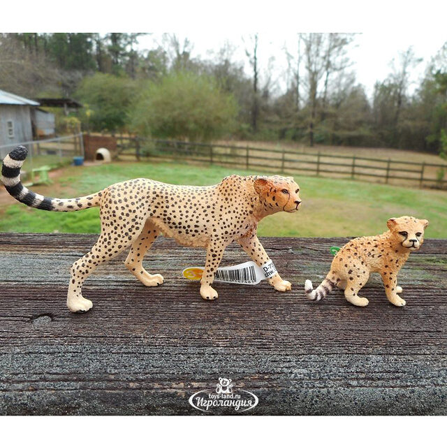 Фигурка Гепард самка 10 см Schleich (Шляйх)