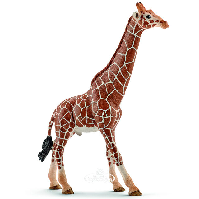 Фигурка Жираф 17 см Schleich (Шляйх)