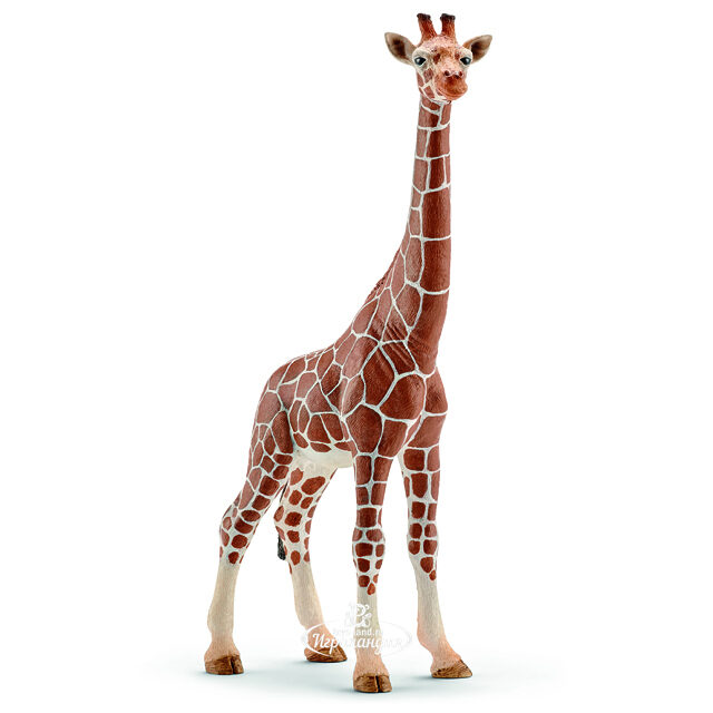 Фигурка Жираф самка 17 см Schleich (Шляйх)