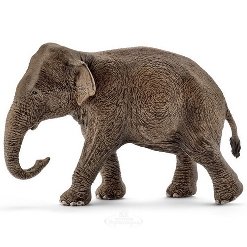 Фигурка Азиатский слон - самка 13 см Schleich