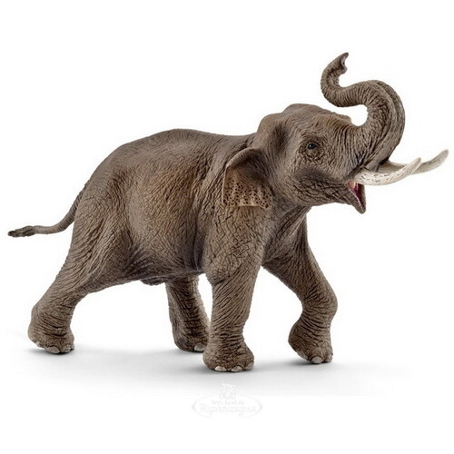 Фигурка Азиатский слон - самец 18 см Schleich