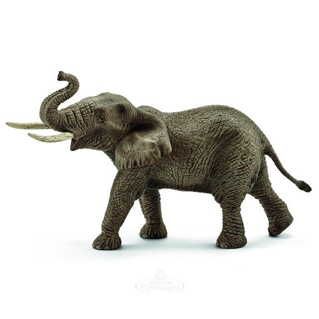 Фигурка Африканский слон самец 19.5 см Schleich (Шляйх)