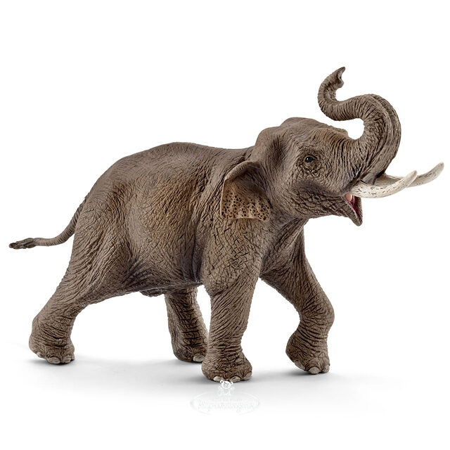 Фигурка Африканский слон самец 19.5 см Schleich (Шляйх)