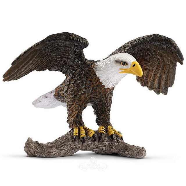 Фигурка Белоголовый орел 9 см Schleich