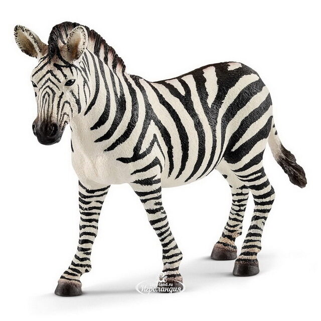 Фигурка Зебра - самка 12 см Schleich (Шляйх)