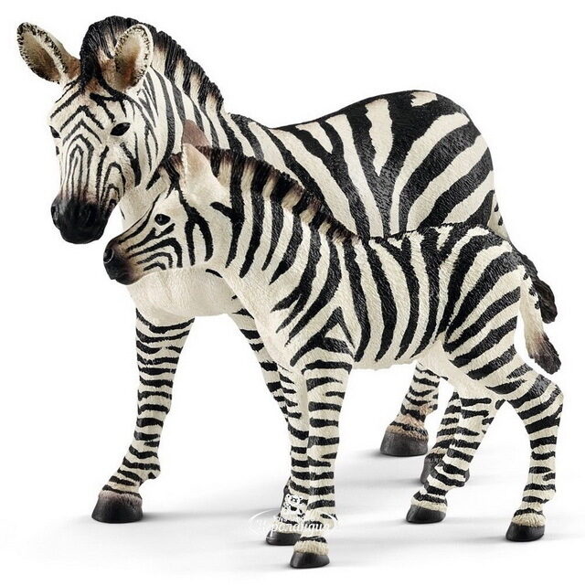 Фигурка Зебра - жеребенок 8 см Schleich