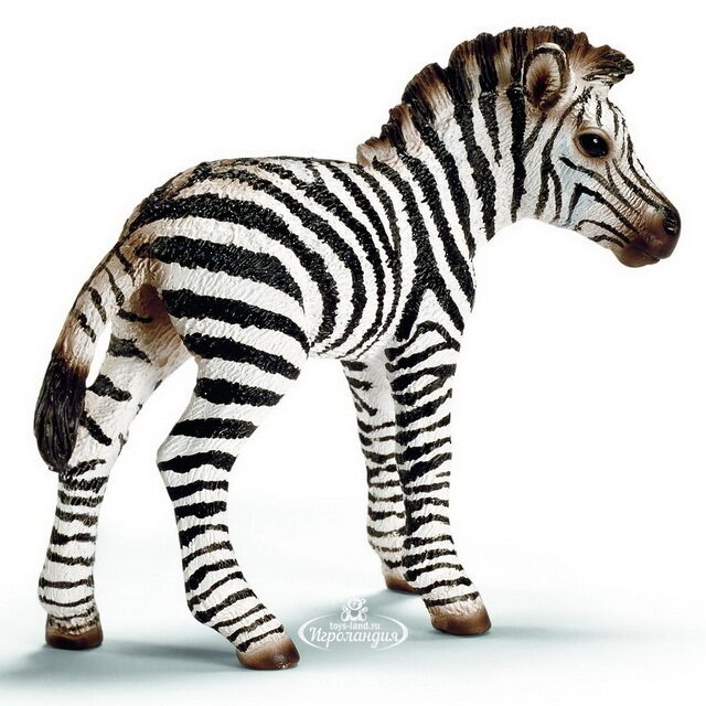 Фигурка Зебра - жеребенок 8 см Schleich (Шляйх)