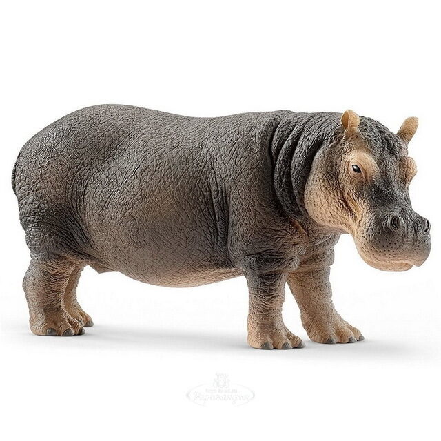Фигурка Бегемот 13 см Schleich