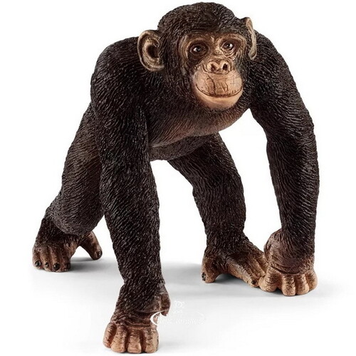 Фигурка Шимпанзе - самец 7 см Schleich