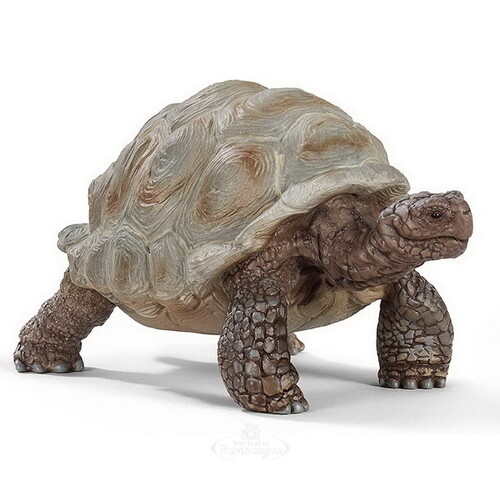 Фигурка Гигантская черепаха 8 см Schleich