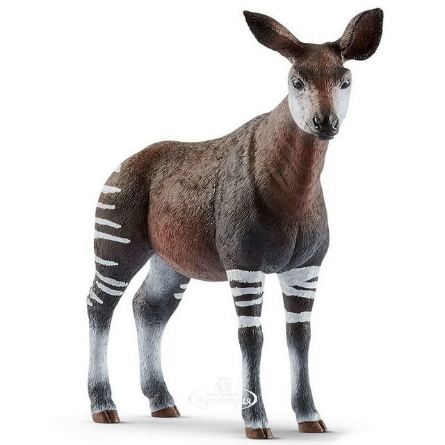 Фигурка Жираф Окапи 11 см Schleich