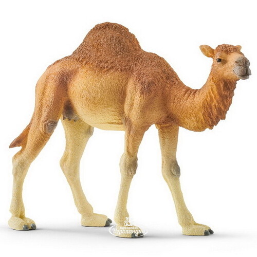 Фигурка Одногорбый верблюд 14 см Schleich