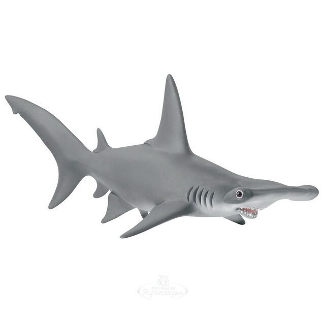 Фигурка Акула-молот 16 см Schleich (Шляйх)