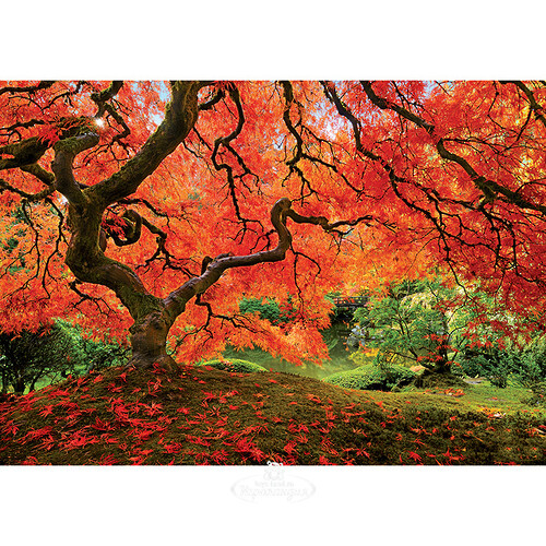 Пазл Осень в японском саду, 1500 элементов Educa