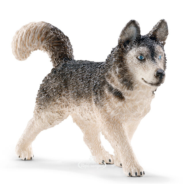 Фигурка Хаски 8 см Schleich