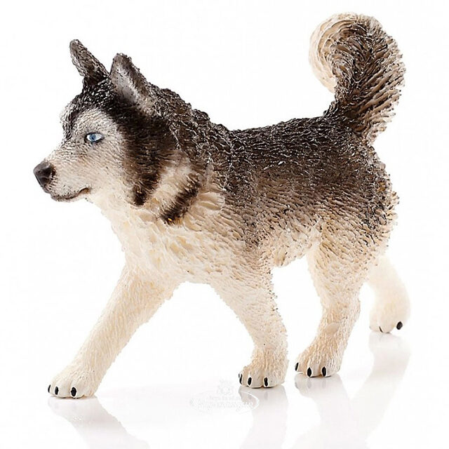 Фигурка Хаски 8 см Schleich
