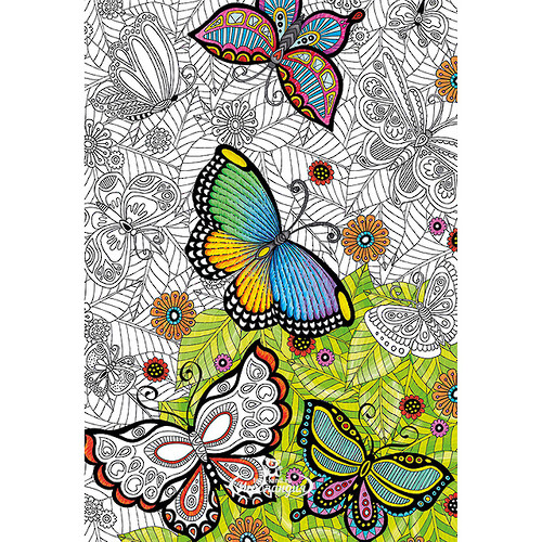 Пазл-раскраска Бабочки, 300 элементов Educa